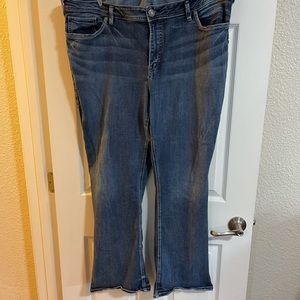 Silver plus size Avery Jeans